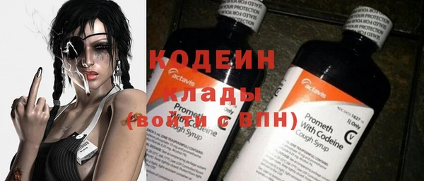 ГАЛЛЮЦИНОГЕННЫЕ ГРИБЫ Арсеньев