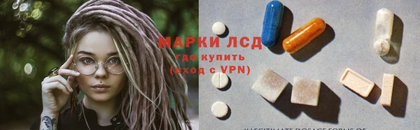 индика Армянск