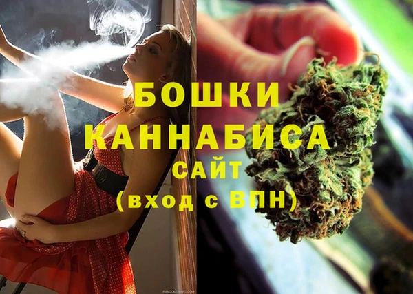 PSILOCYBIN Аркадак