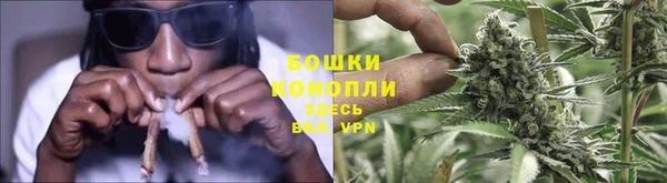 ГАЛЛЮЦИНОГЕННЫЕ ГРИБЫ Арсеньев