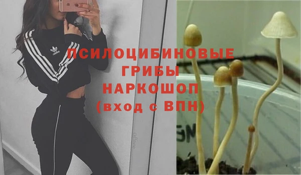 индика Армянск