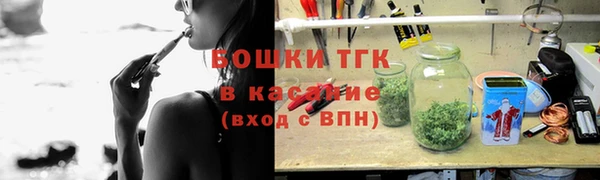 сатива Новокубанск