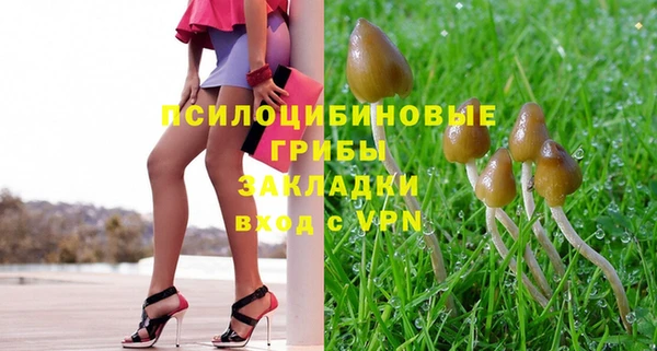 индика Армянск