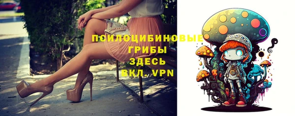 ГАЛЛЮЦИНОГЕННЫЕ ГРИБЫ Арсеньев