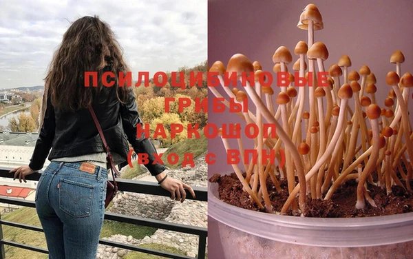 индика Армянск
