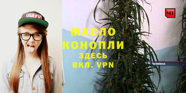 PSILOCYBIN Аркадак