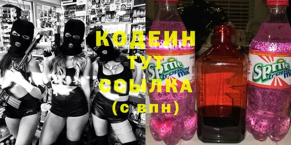 индика Армянск