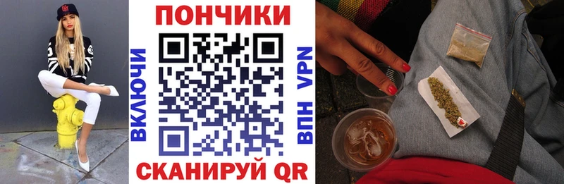 Бошки Шишки сатива  shop наркотические препараты  Полысаево  MEGA ссылка 